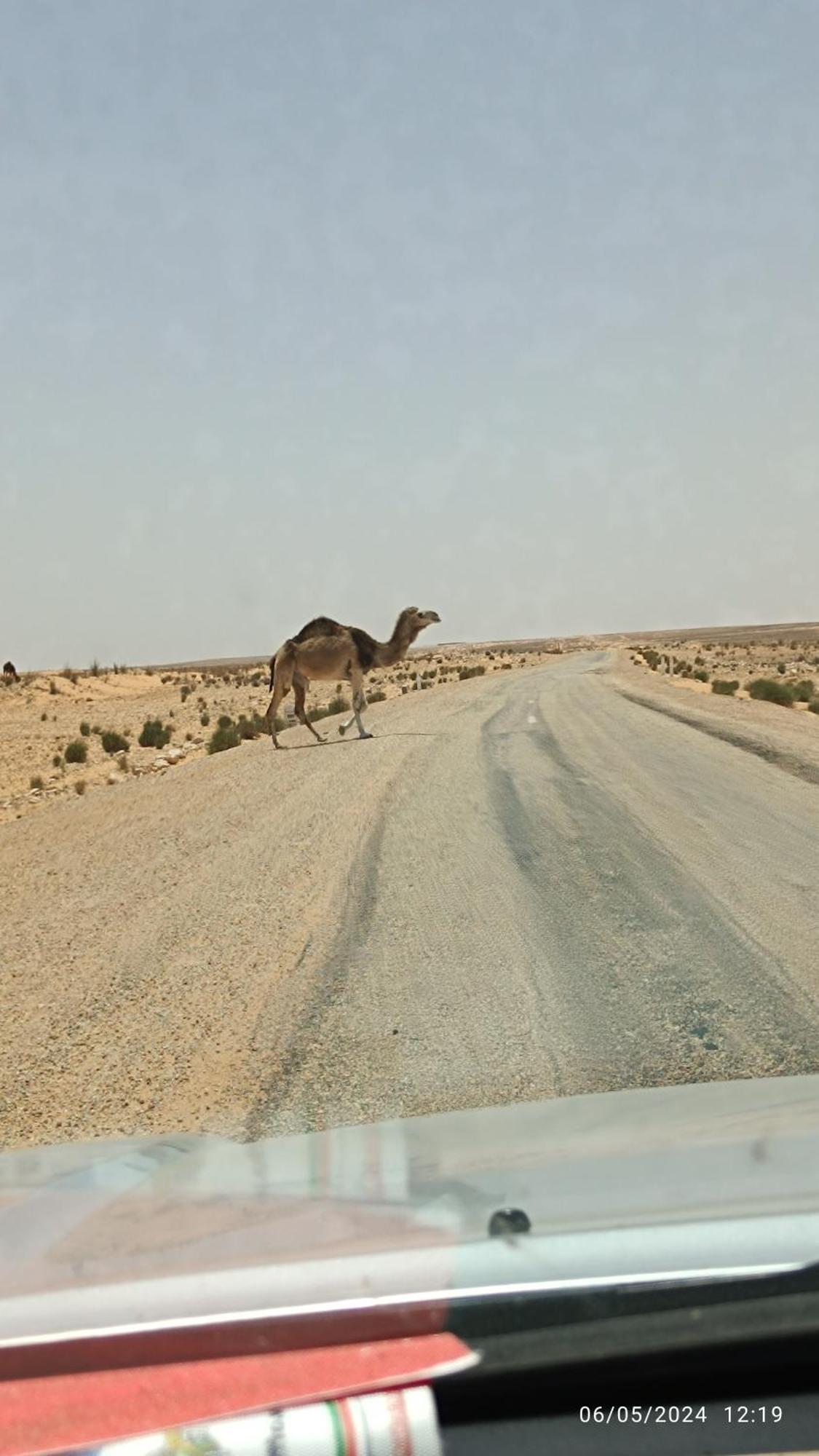 Dar Lagune Djerba Al Haddadah Buitenkant foto