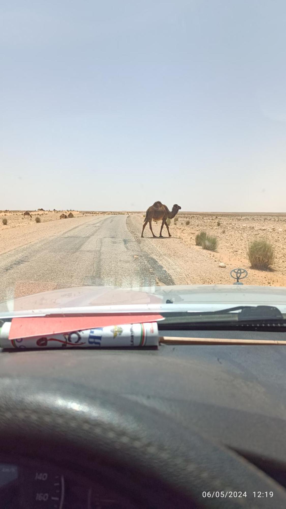 Dar Lagune Djerba Al Haddadah Buitenkant foto