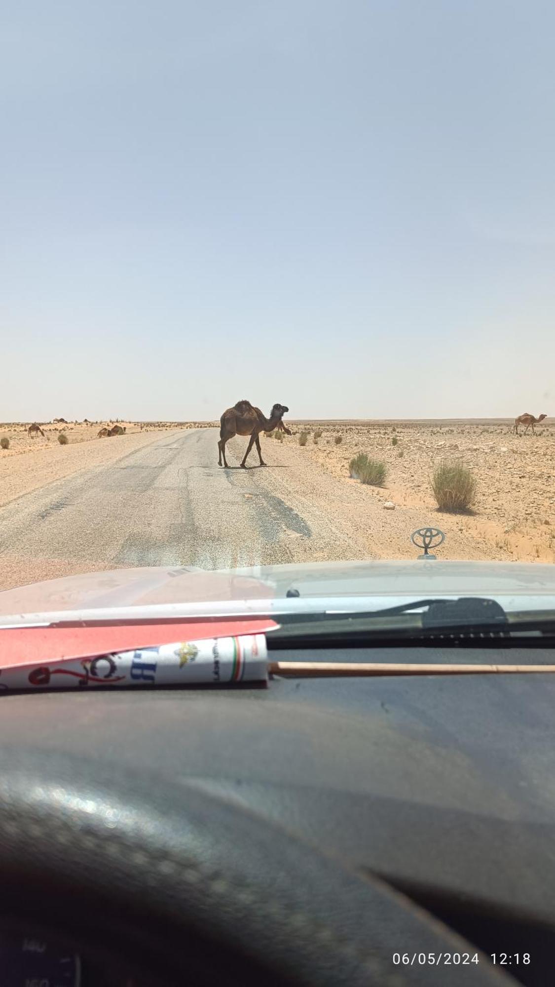 Dar Lagune Djerba Vue De Mer Al Haddadah Buitenkant foto