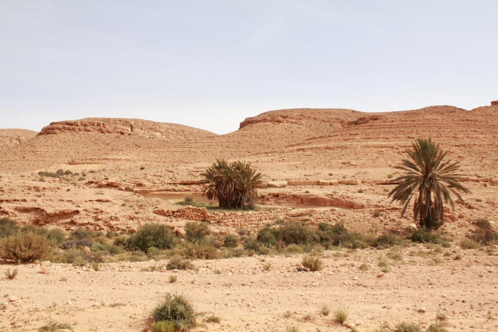 Dar Lagune Djerba Al Haddadah Buitenkant foto