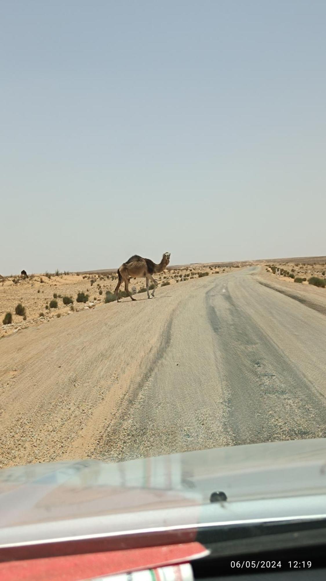 Dar Lagune Djerba Al Haddadah Buitenkant foto