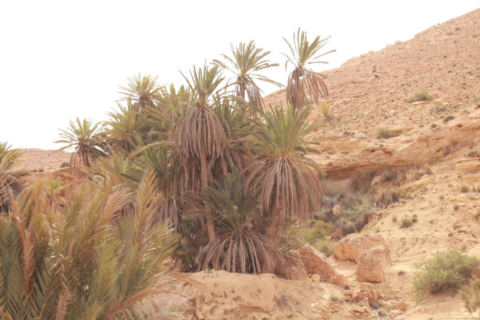 Dar Lagune Djerba Vue De Mer Al Haddadah Buitenkant foto